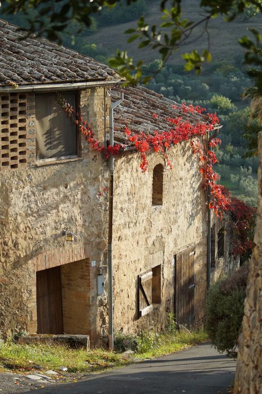La Mandola Apartment Castiglione d'Orcia Exterior photo